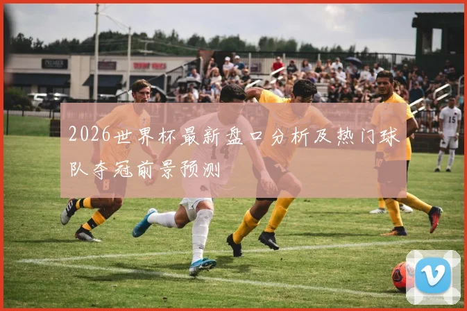 2026世界杯最新盘口分析及热门球队夺冠前景预测