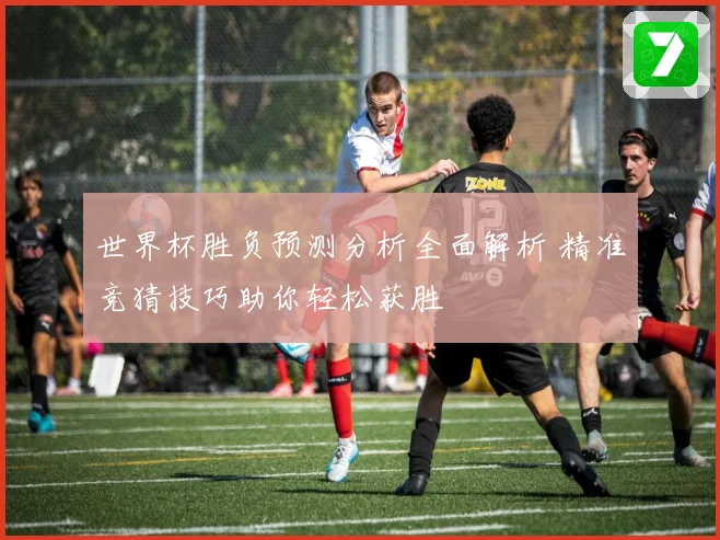 世界杯胜负预测分析全面解析 精准竞猜技巧助你轻松获胜